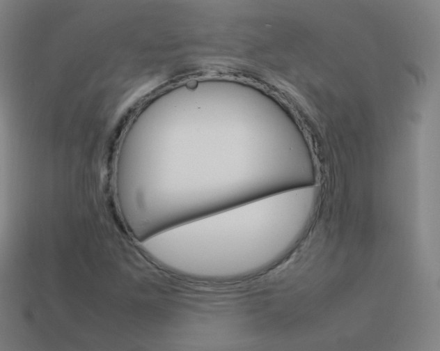 X0000114151261200910081105