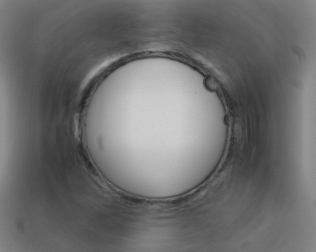 X0000114151262200910081105