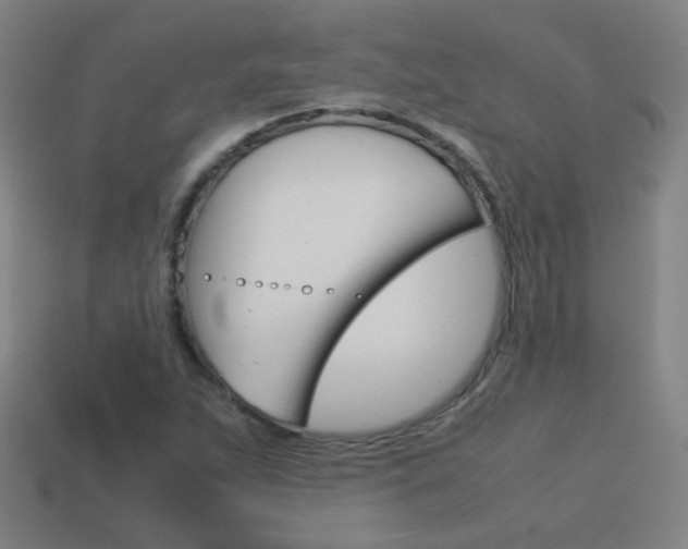 X0000114151263200910081105
