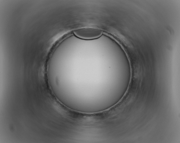 X0000114151264200910081105