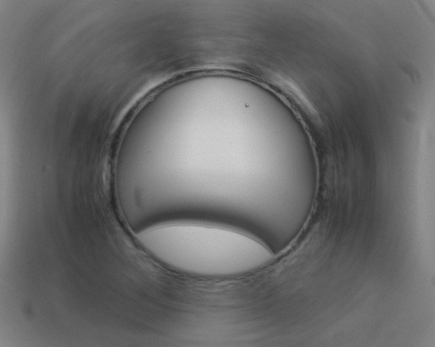 X0000114151268200910081105