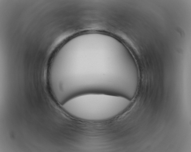 X0000114151270200910081105