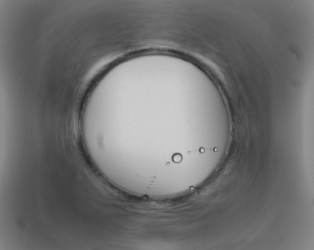 X0000114151271200910081105