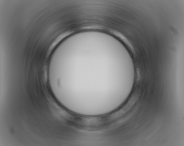 X0000114151274200910081105
