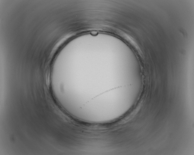 X0000114151275200910081105