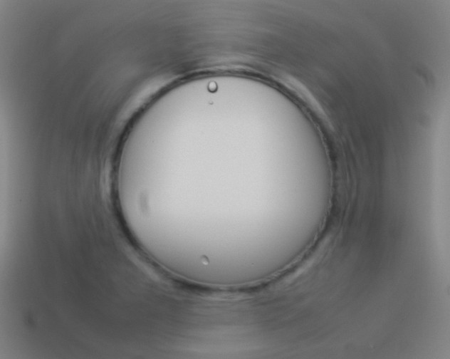 X0000114151277200910081105