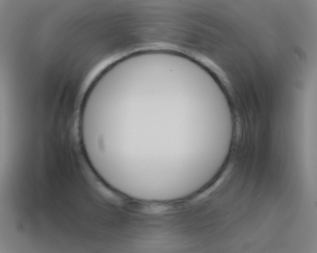 X0000114151278200910081105