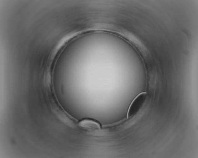 X0000114151280200910081105