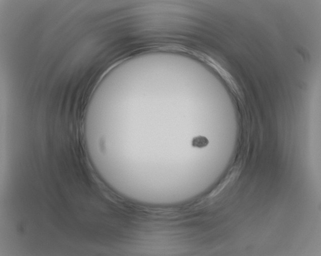 X0000114151281200910081105