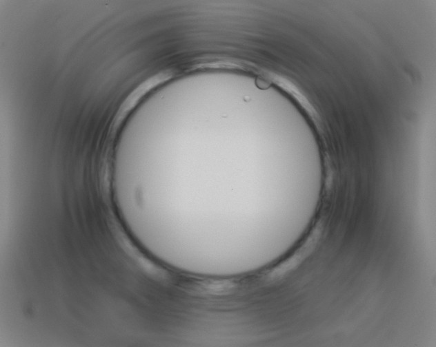X0000114151282200910081105