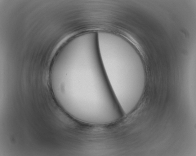 X0000114151283200910081105