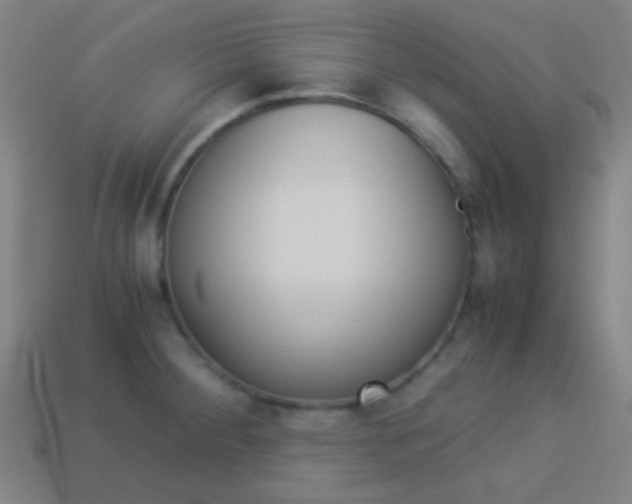 X0000114151284200910081105