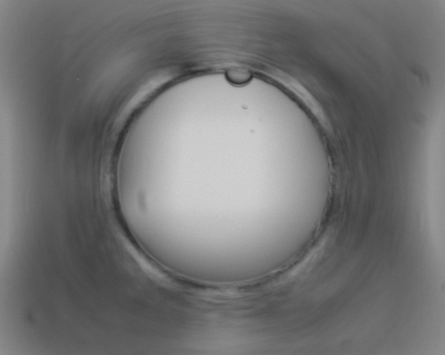 X0000114151285200910081105