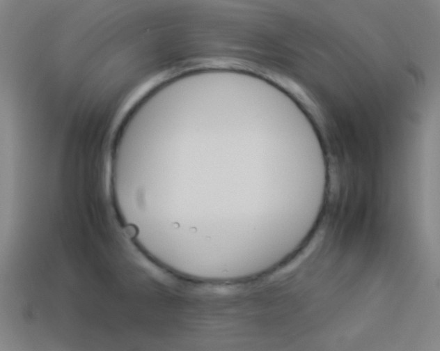 X0000114151286200910081105