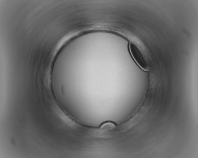 X0000114151288200910081105