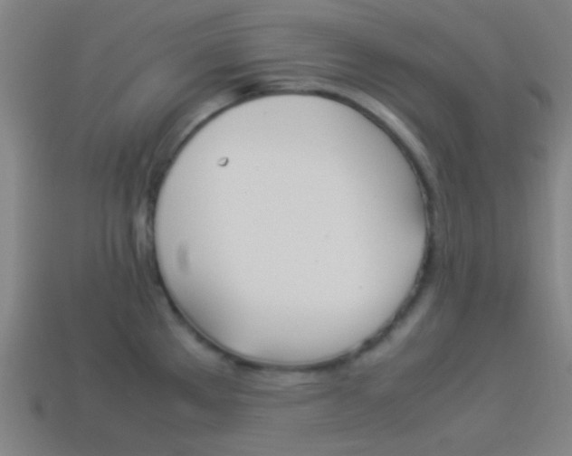 X0000114151289200910081105