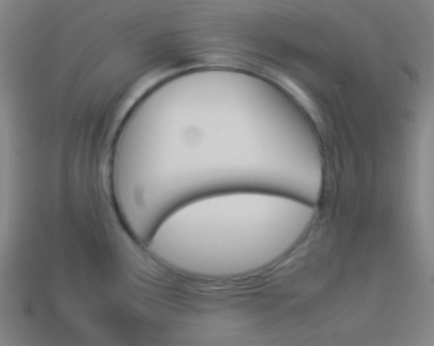 X0000114151291200910081105