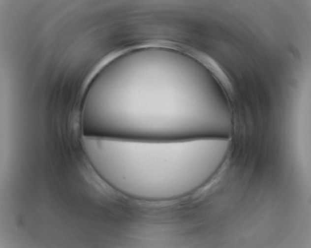 X0000114151292200910081105