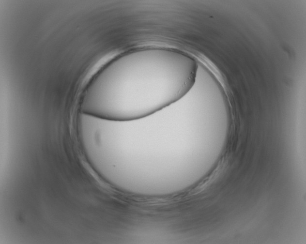 X0000114151293200910081105