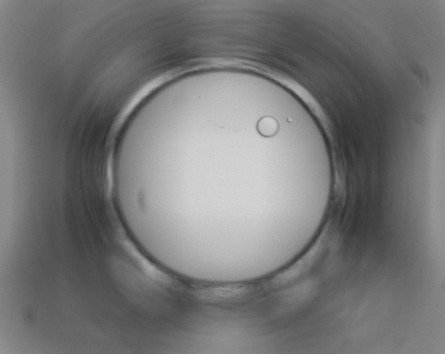 X0000114151294200910081105
