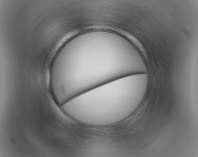 X0000114151295200910081105