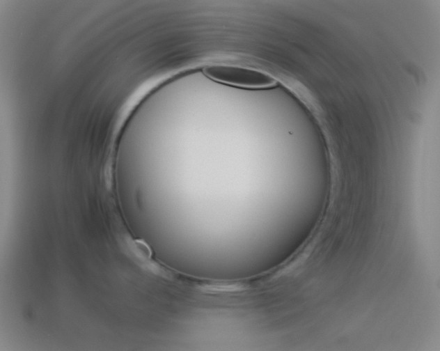 X0000114151296200910081105