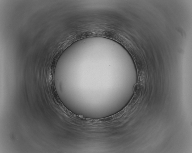 X0000114151298200910081104