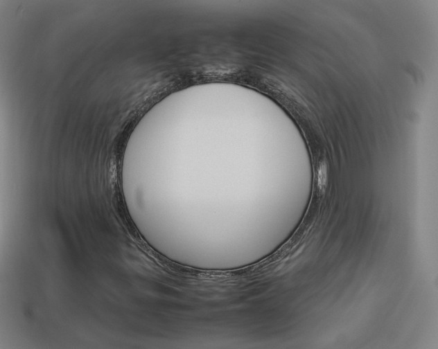 X0000114151299200910081104