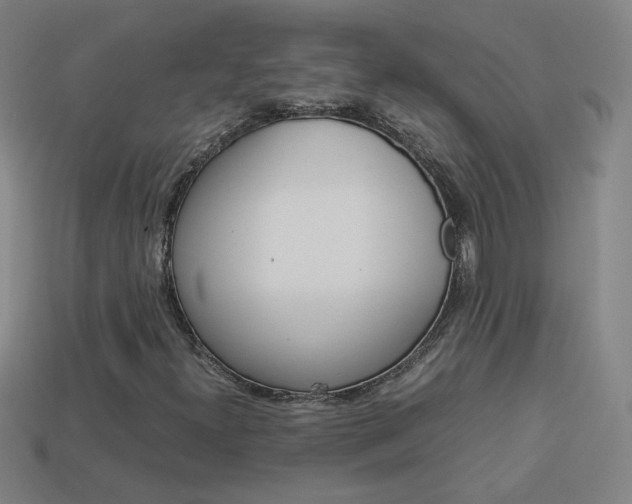 X0000114151300200910081104