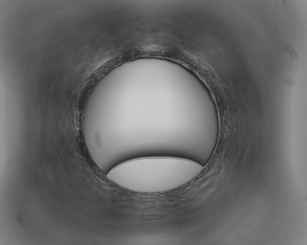 X0000114151301200910081104