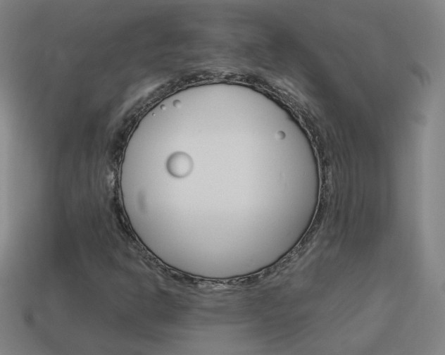 X0000114151302200910081104