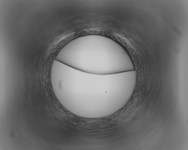 X0000114151303200910081104