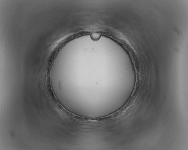 X0000114151304200910081104