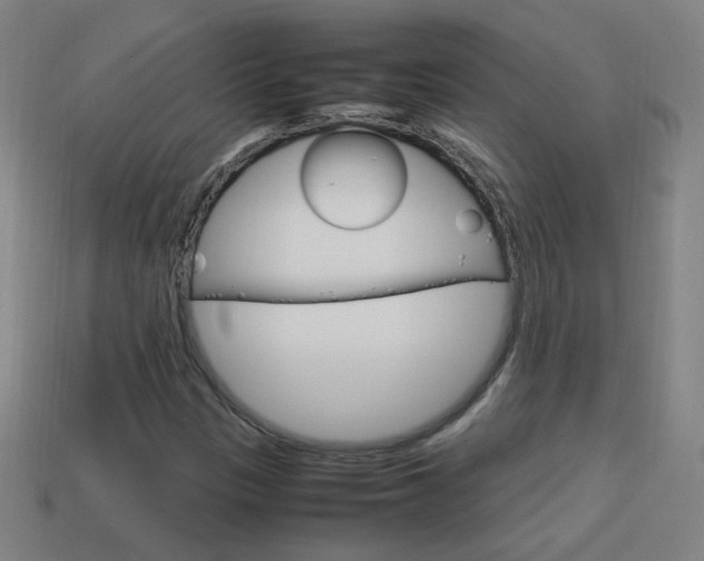 X0000114151305200910081104