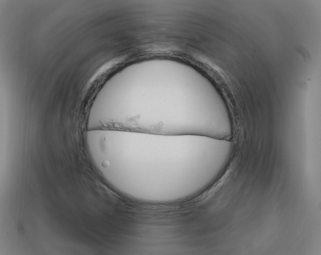 X0000114151306200910081104