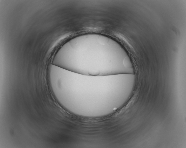 X0000114151307200910081104