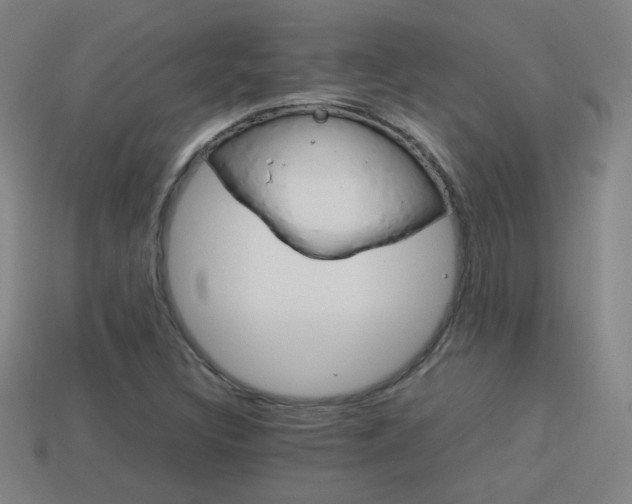 X0000114151308200910081104