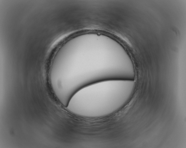 X0000114151311200910081104