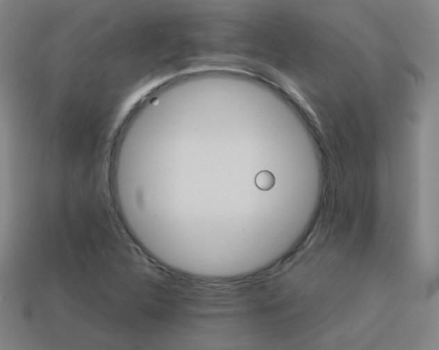 X0000114151312200910081104