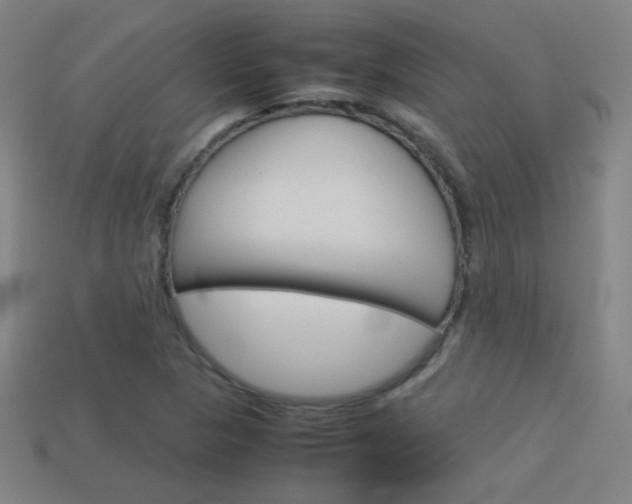 X0000114151313200910081104