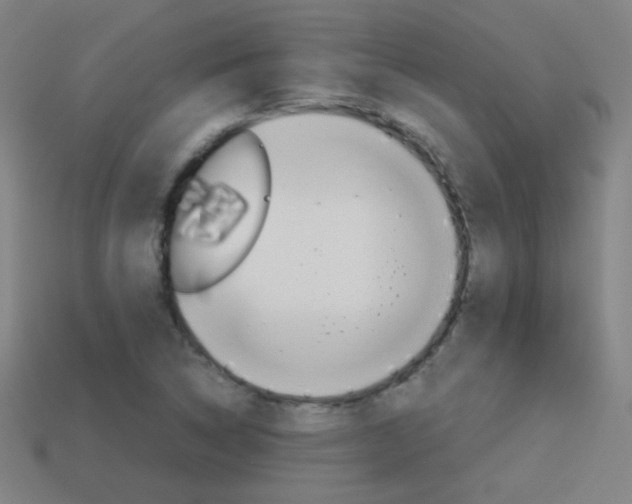 X0000114151314200910081104