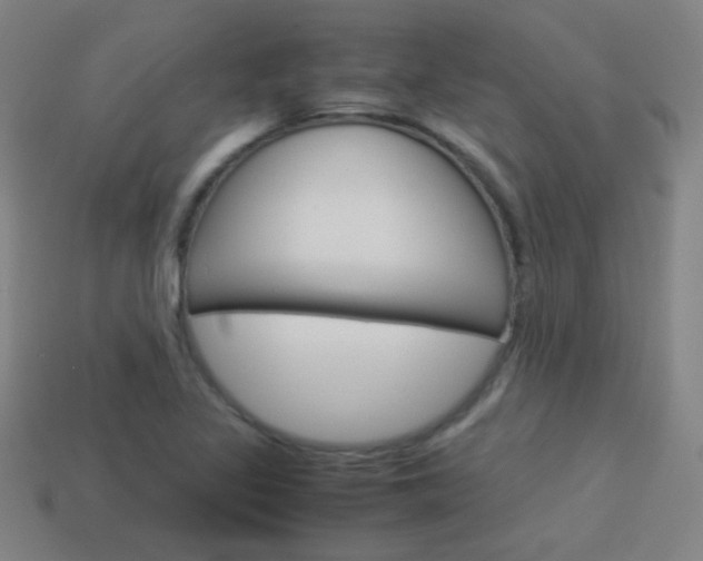 X0000114151317200910081104