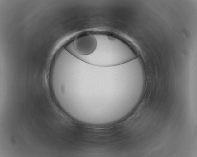 X0000114151319200910081104