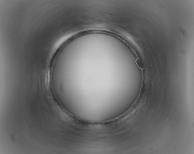 X0000114151320200910081104