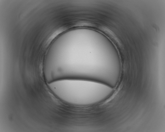 X0000114151321200910081104