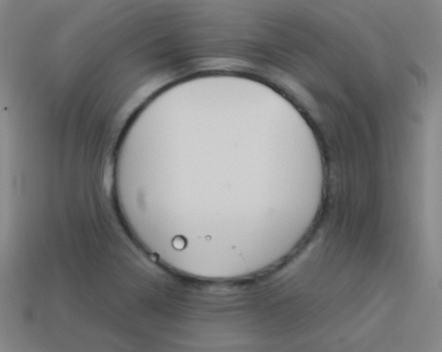 X0000114151322200910081104