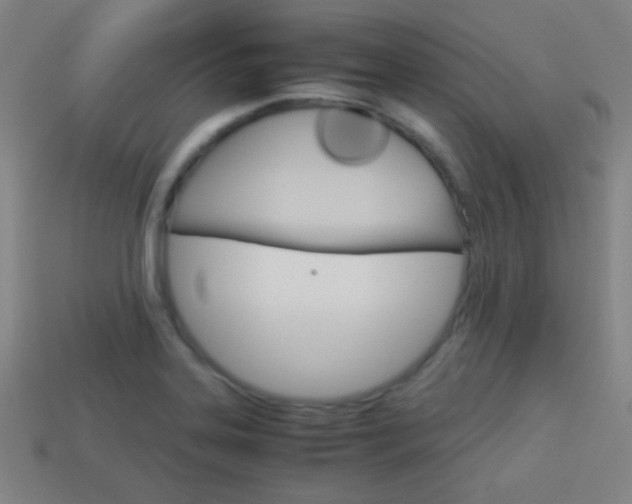 X0000114151323200910081104