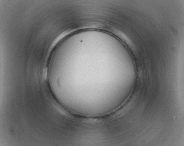 X0000114151324200910081104