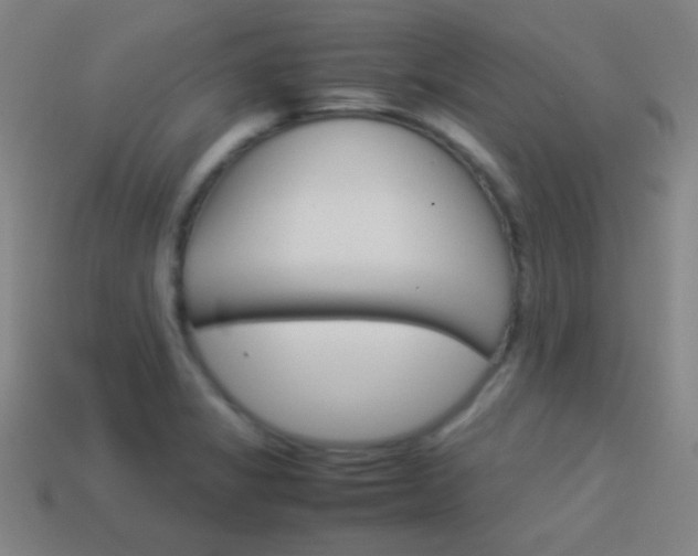 X0000114151325200910081104