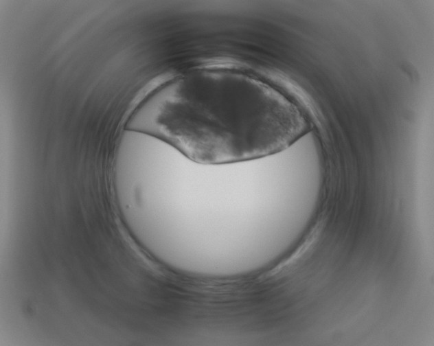 X0000114151329200910081105
